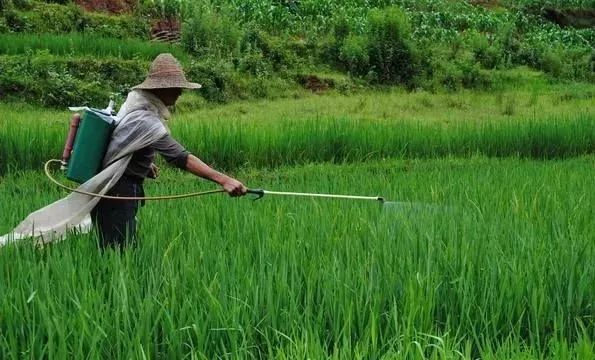 助劑不是藥，加上顯奇效，為什么要在農(nóng)藥中添加有機(jī)硅助劑？插圖3